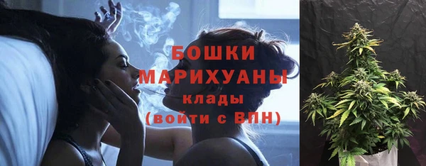 ГАЛЛЮЦИНОГЕННЫЕ ГРИБЫ Кодинск