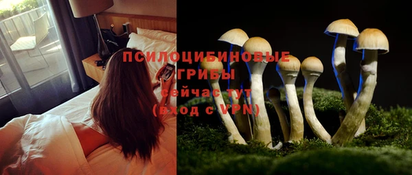 mdpv Киренск