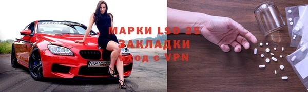 ГАЛЛЮЦИНОГЕННЫЕ ГРИБЫ Кодинск