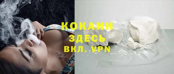 ГАЛЛЮЦИНОГЕННЫЕ ГРИБЫ Кодинск