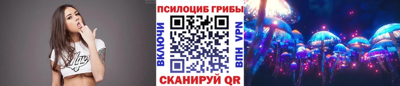 Галлюциногенные грибы Psilocybine cubensis  даркнет как зайти  Кодинск 